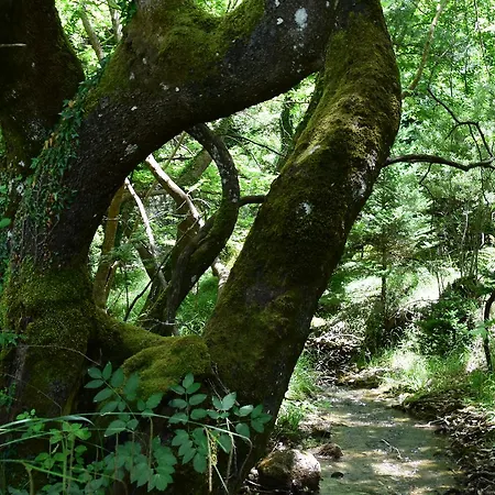 Olvios ホテル ゴウラ