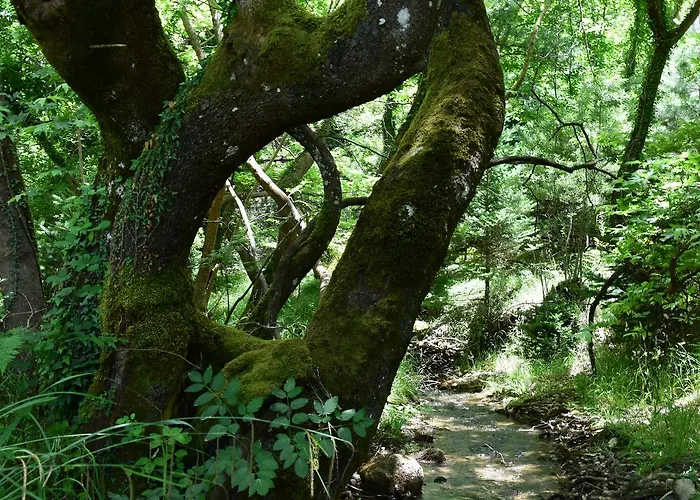 Olvios Szálloda Gúra